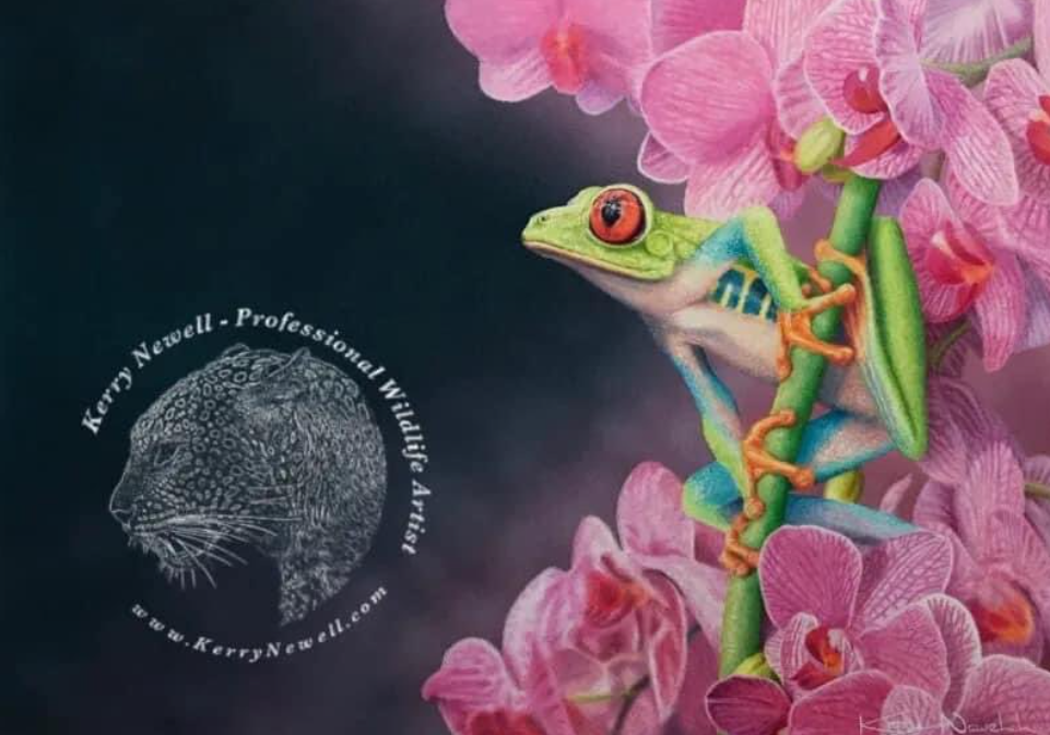 Art Workshops with Kerry Newell